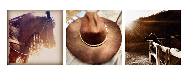 Western Triptych (The Beauty, Dusty's Hat, Will Rogers Pony) | McGaw ...