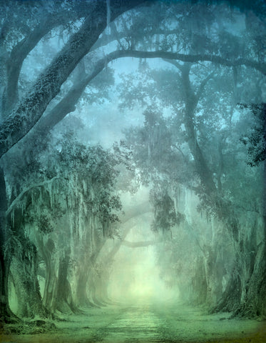 Quarters Alley in Fog, Evergreen Plantation, Edgard, LA -  William Guion - McGaw Graphics