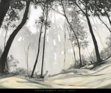 Black Forest -  Steven Garrett - McGaw Graphics