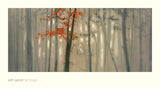 Fall Foliage -  Seth Garrett - McGaw Graphics