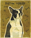 Boston Terrier -  John W. Golden - McGaw Graphics