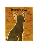 Chihuahua (black)