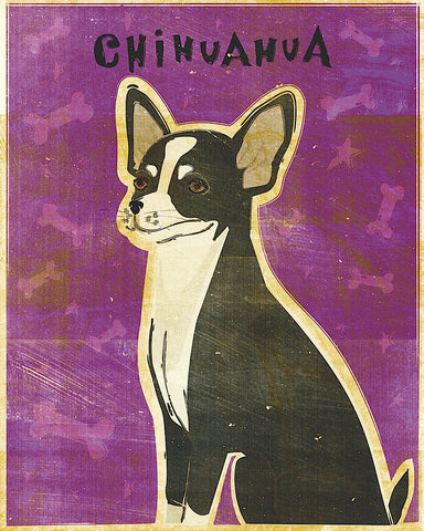 Chihuahua (black and white) -  John W. Golden - McGaw Graphics