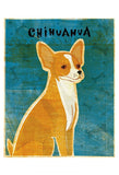 Chihuahua (red)