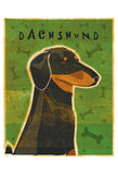 Dachshund (black and tan)