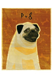 Pug