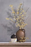 Forsythia -  Ray Hendershot - McGaw Graphics