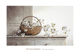 Spring Blossoms -  Ray Hendershot - McGaw Graphics