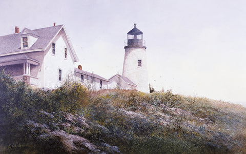 Gulls at Pemaquid -  Ray Hendershot - McGaw Graphics