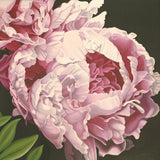 Peony II -  Elizabeth Hellman - McGaw Graphics