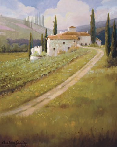 Tuscany Vineyard -  Carolyne Hawley - McGaw Graphics