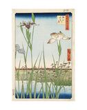 Irises at Horikiri, 1857 -  Ando Hiroshige - McGaw Graphics