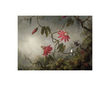 Passion Flowers and Hummingbirds, about 1870-83 -  Martin Johnson Heade - McGaw Graphics