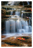 Waterfall Whitecap Stream -  Michael Hudson - McGaw Graphics