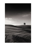 Late Afternoon Sunset on Twin Cypresses -  Michael Hudson - McGaw Graphics