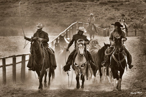 Colorado Caballeros -  Barry Hart - McGaw Graphics