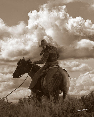 Colorado Cowboy -  Barry Hart - McGaw Graphics