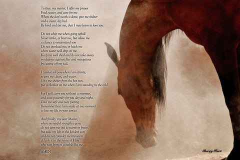 The Horse’s Prayer -  Barry Hart - McGaw Graphics