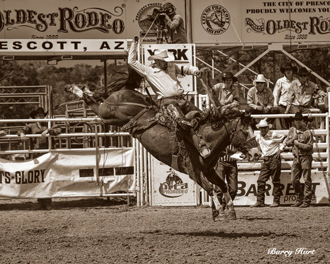 How it‚Äôs Done Son -  Barry Hart - McGaw Graphics