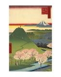 New Fuji, Meguro (Meguro Shin-Fuji), 1857 -  Utagawa Hiroshige I - McGaw Graphics