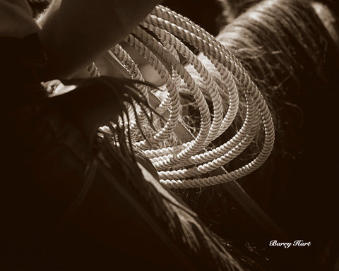 Cowboy Rope -  Barry Hart - McGaw Graphics