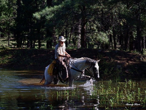 The Lost Cowboy (color) -  Barry Hart - McGaw Graphics