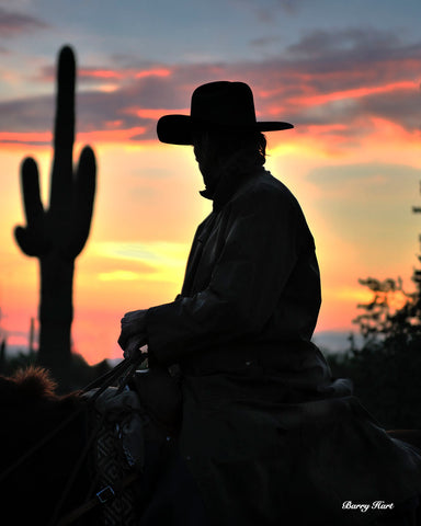 Arizona Cowboy -  Barry Hart - McGaw Graphics