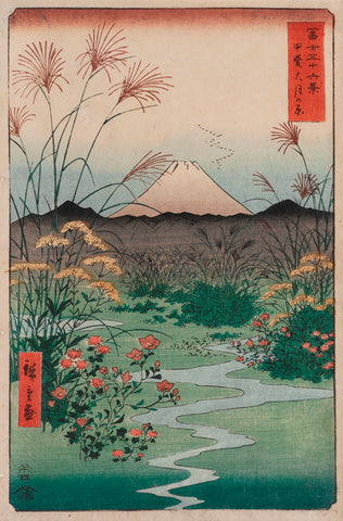 The Coast at Hota, from the series Thirty-six Views of Mount Fuji, 1858 -  Ando Hiroshige - McGaw Graphics