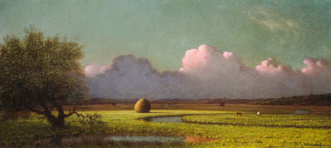 Sunlight and Shadow: The Newbury Marshes, c. 1871/1875 -  Martin Johnson Heade - McGaw Graphics