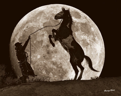 Moon Dance -  Barry Hart - McGaw Graphics