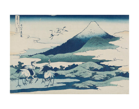 Umezawa Manor in Sagami Province -  Katsushika Hokusai - McGaw Graphics