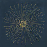 Burst II -  Cathe Hendrick - McGaw Graphics