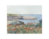 Poppies, Isles of Shoals, 1891 -  Childe Hassam - McGaw Graphics