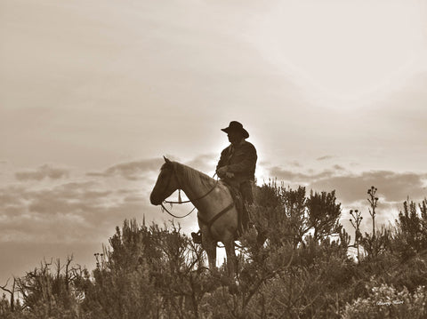 Night Watch -  Barry Hart - McGaw Graphics