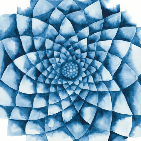 Blue Zinnia -  Cathe Hendrick - McGaw Graphics