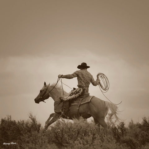 Palomino Cowboy -  Barry Hart - McGaw Graphics
