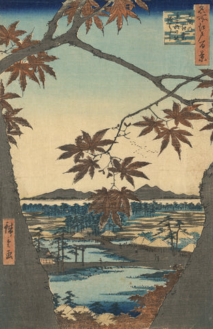 Bird's-eye View Through Maple Trees of the Tekona Shrine -  Ando Hiroshige - McGaw Graphics