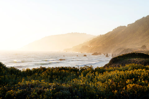 Route 1 along the Pacific Ocean in Northern California -  Carol M. Highsmith - McGaw Graphics