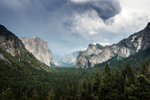 Yosemite National Park California II -  Carol M. Highsmith - McGaw Graphics