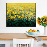 Sunflowers in a Wisconsin Field -  Carol M. Highsmith - McGaw Graphics