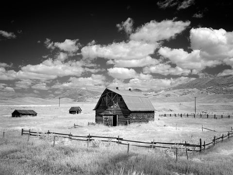 Barn, Rural Montana -  Carol M. Highsmith - McGaw Graphics