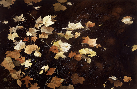 Last Shades of Autumn -  Ray Hendershot - McGaw Graphics
