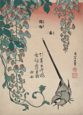 Wisteria and Wagtail (Fuji, sekirei), about 1834