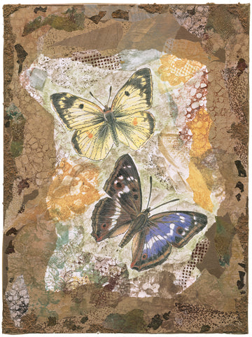 Honeycomb Butterflies -  Annabel Hewitt - McGaw Graphics