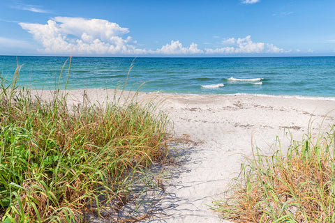 The Sea Beckons -  Mary Lou Johnson - McGaw Graphics