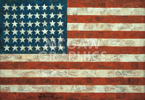 Flag, 1954 -  Jasper Johns - McGaw Graphics