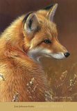 Curious - Red Fox -  Joni Johnson-Godsy - McGaw Graphics