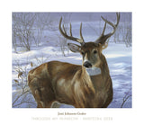 Through My Window - Whitetail Deer -  Joni Johnson-Godsy - McGaw Graphics