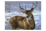 Through My Window - Whitetail Deer -  Joni Johnson-Godsy - McGaw Graphics