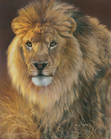 Power and Presence - African Lion -  Joni Johnson-Godsy - McGaw Graphics